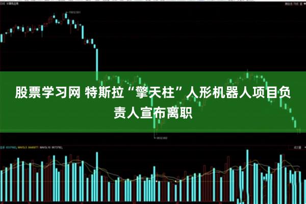 股票学习网 特斯拉“擎天柱”人形机器人项目负责人宣布离职